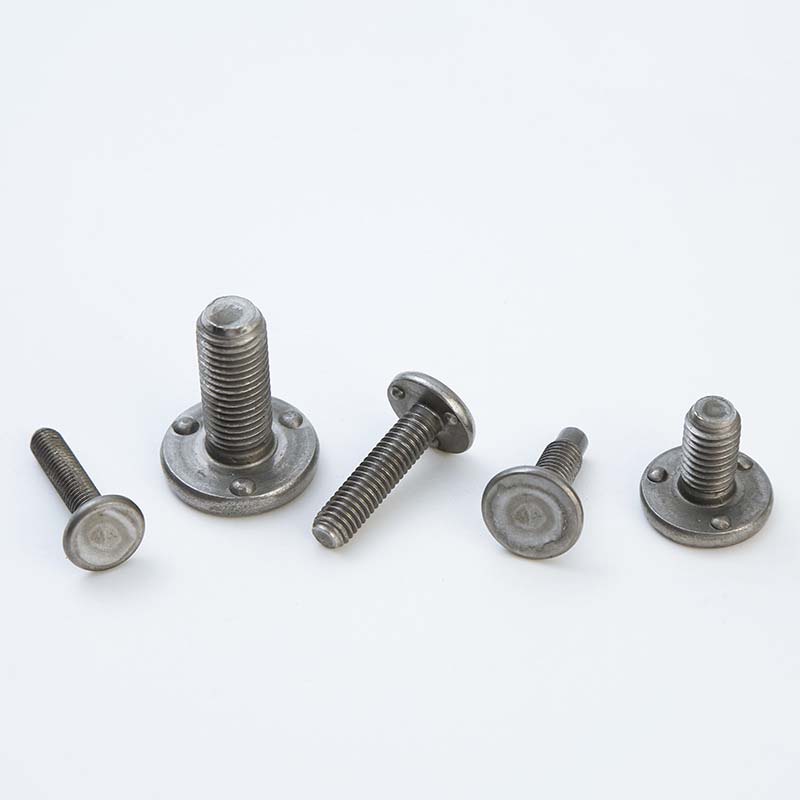 Screws ngisor Botol