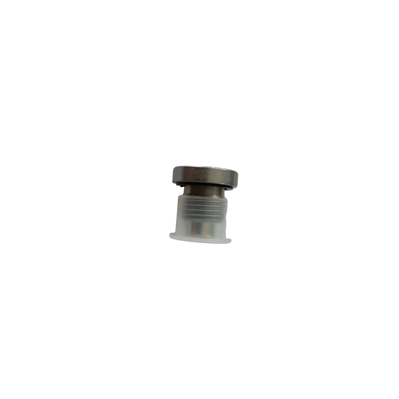 Countersunk Hollow Hex Plug karo Seal