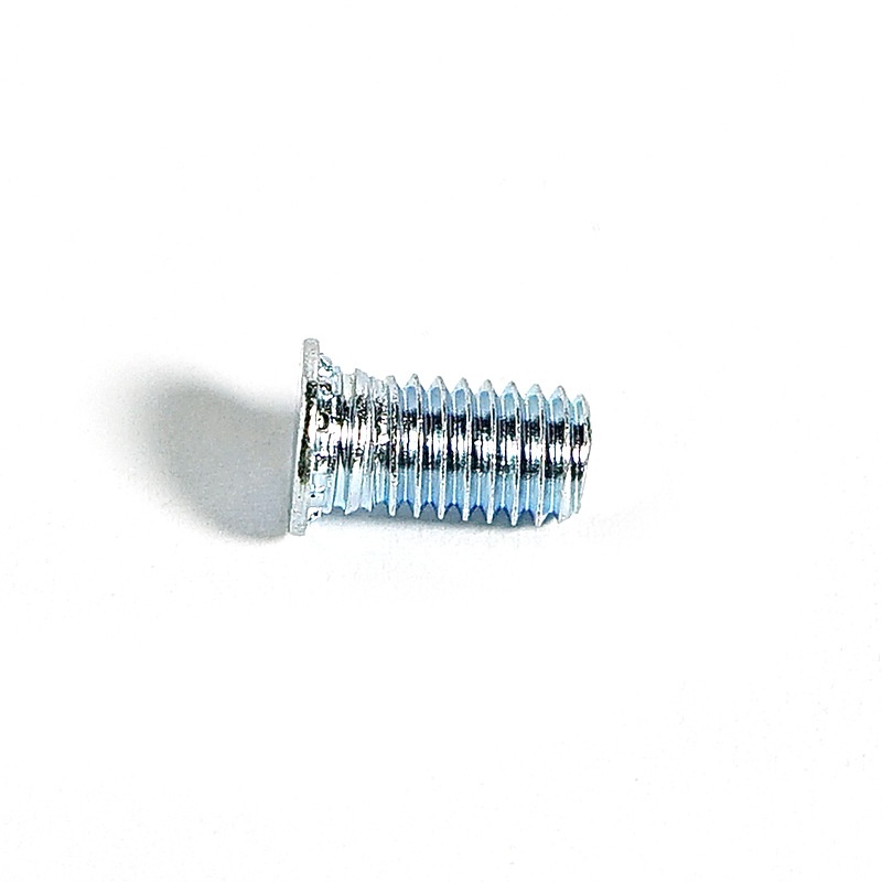 Eco Friendly Press Riveting Screw