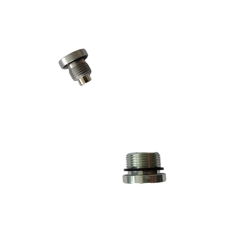Hollow Hex O-Ring Steel Plug