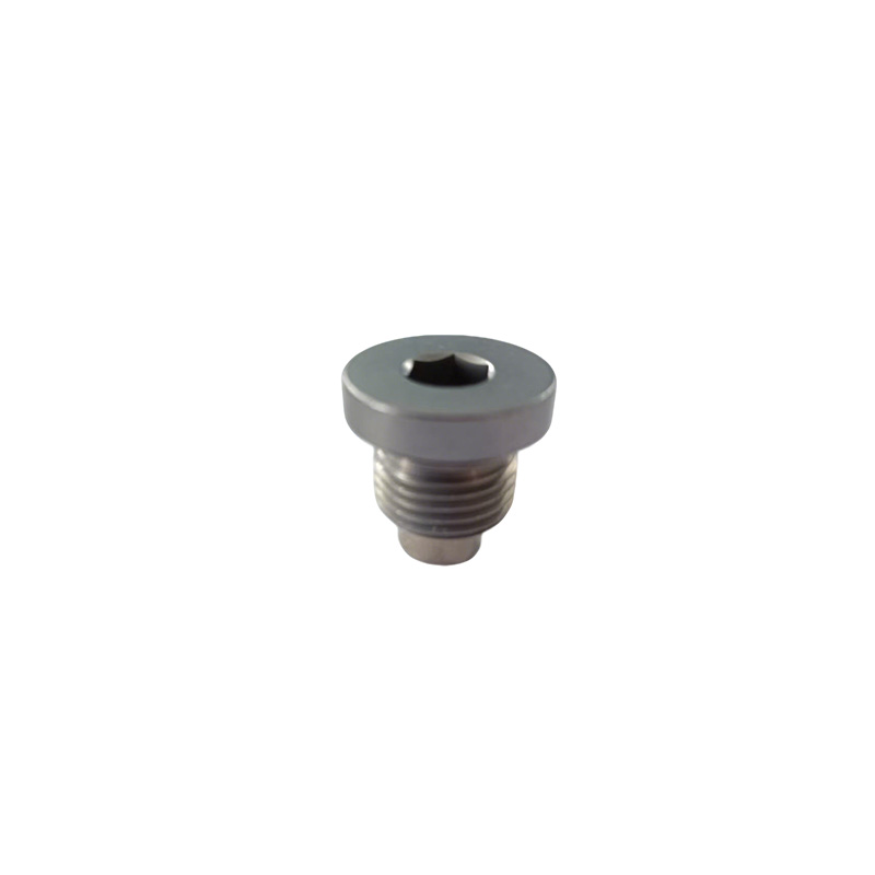 Kothong Hex Pipe Plug karo O-Ring