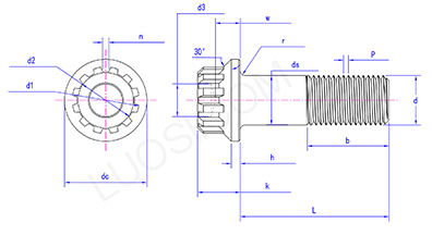 12 teeth spline bolts with flange
