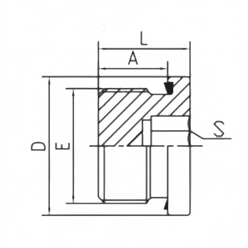 BSP Male Captive Hollow Hex Plug