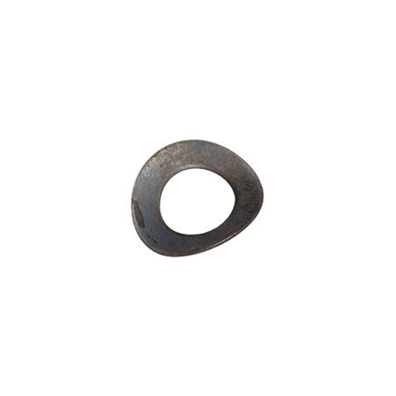 Stainless Steel Mlengkung Spring Washer